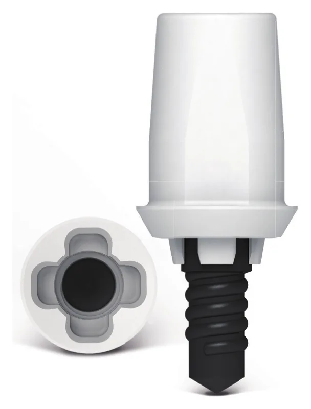 Zirconia abutment with a black Vicarbo screw beside the internal geometry of the implant